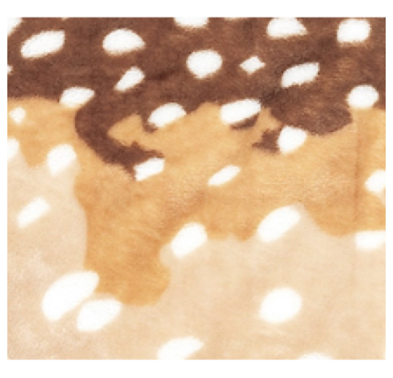 Fawn Throw Blanket