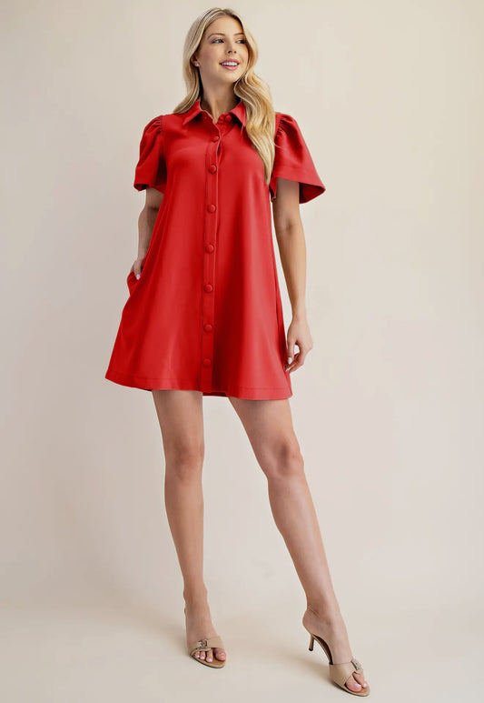 Button Down Mini Dress