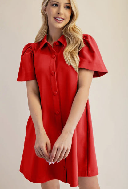 Button Down Mini Dress